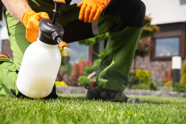 Best Pest Prevention Services  in Newhall, IA