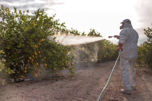 Best Pest Control Near Me in Newhall, IA