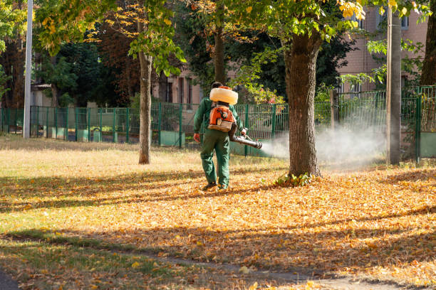 Best Termite Control Services  in Newhall, IA