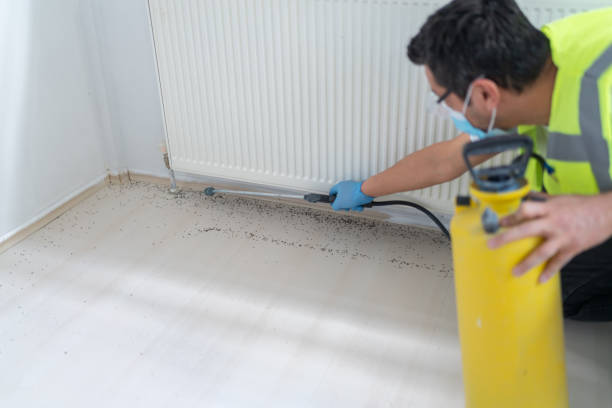 Best Pest Inspection Near Me  in Newhall, IA