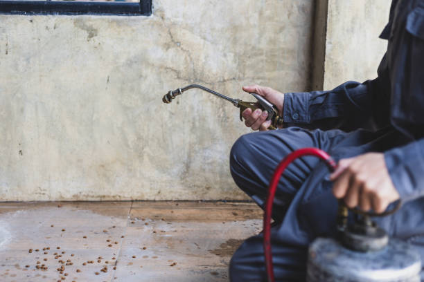 Best Exterminator Services  in Newhall, IA